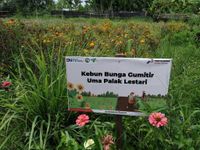 Kembangkan Wisata Konservasi Alam, Pertamina Jalankan Program CSR Wisata Edukasi Pertanian di Desa Adat Peguyangan CSR Pertamina