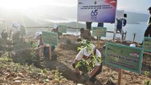 Peringati Hari Ulang Tahun Ke-65, Astra Tanam 65.000 Pohon dan Pasang 65 Solar Panel ASTRA
