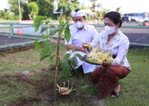 Perayaan Hari Tumpek Wariga, Bupati Suwirta Ajak Masyarakat Jaga Keharmonisan dengan Alam Keharmonisan dengan Alam