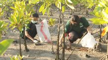Pembersihan Sisa Plastik Pada Akar Bakau dalam Rangkaian Acara World Earth Day 2022 Plastik