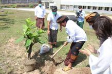 Hijaukan Area, RS Universitas Udayana Gelar Kegiatan “Go Green Go Clean” Go Green Go Clea