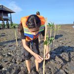 Penanaman Mangrove dan Pembersihan Area Mangrove dalam Kegiatan Beach Mass Clean Up BEM FK Unud fakultas kedokteran