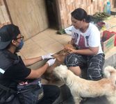Distan Denpasar Genjot Vaksinasi Hewan Penular Rabies, Sediakan 23.000 Vaksin Rabies