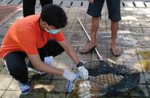 Songsong Pertemuan G20, Distan Kembali Tertibkan Anjing Liar di GWK Petugas Dinas Pertanian dan Pangan