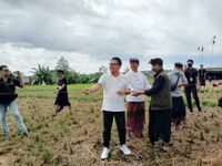 Wawali Arya Wibawa Buka ST BMS Kite Festival Wawali Arya Wibawa