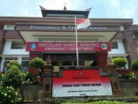 Bocah 7 Tahun di Buleleng Meninggal Akibat Gigitan Anjing Rabies