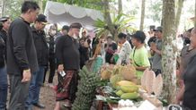 Tanam Pohon Warnai Peringatan Bulan Bung Karno IV di Kabupaten Jembrana Bulan Bung Karno