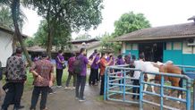 FKH Unud Mengadakan Benchmarking ke Sekolah Kedokteran Hewan dan Biomedis IPB University fkh unud