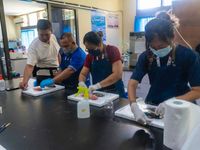 Kolaborasi BRIN-FKP Udayana, Gelar Internasional Workshop & Training on Fish Taxonomy fkp unud