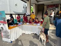 FKH Unud Bekerja Sama dengan AFKHI dan FAO Tangani Rabies di Kelurahan Sanur rabies unud