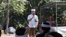 Jembrana Potensial Sentra Bibit Kelapa Genjah Kelapa