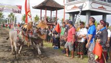 Bupati Tamba Buka Mekepung Kapolres Cup 2022 Mekepung