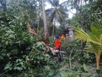 Rumah Warga di Desa Bondalem Tertimpa Pohon Tumbang Buleleng