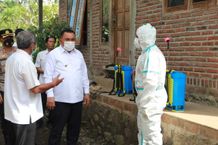 Pemkab Jembrana Intensifkan Spraying dan Vaksinasi, Cegah PMK Merebak di Jembrana Pemkab Jembrana