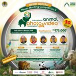 Saatnya Abadikan Momen Satwa Terbaik Dalam Perhelatan Hunting Foto dan Video Competition di Bali Safari Park Bali Safari Park