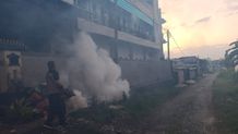 Waspada DBD dan Chikungunya, Pemkot Denpasar Lagi Lakukan Fogging di Beberapa Wilayah di Pemecutan Kelod Waspada DBD dan Chikungunya