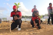 Penanaman Pohon Mangrove di Lingkungan Tahura Ngurah Rai Pulau Pudut Tanjung Benoa Penanaman Pohon Mangrov
