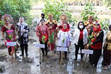 Serangkaian Hari Koperasi Nasional, Pemkot Denpasar Bersinergi Bersama Dekopin Laksanakan Penghijauan Sejuta Mangrove di Muntig Siokan Sanur Pemkot Denpasar