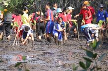 Penanaman Pohon Mangrove Serangkaian Badung Education Fair 2022 Penanaman pohon Mangrove