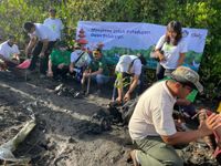 Bentuk CSR Terhadap Lingkungan Denpasar, PT. DEB Tanam 500 Bibit Mangrove Tahap Awal di Sidakarya Bibit Mangrove