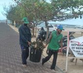 DLHK Denpasar Respon Cepat Penanganan Sampah Kiriman di Kawasan Pantai Sanur Penanganan Sampah