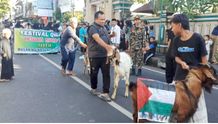 Unik, Sambut Idul Adha Masjid Jami’ Singaraja Gelar Kirab Hewan Qurban Masjid Agung Jami’ Singaraja