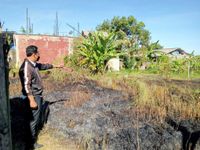 Lima Are Lahan Alang-alang Hangus Terbakar Hangus