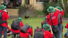Photo Hunting International Animal Photo & Video Competition Babak Kedua Resmi Dilangsungkan di Bali Safari Park Photo Hunting