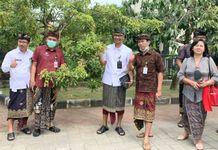 Tingkatkan Produksi Pangan, Dinas Pertanian Gandeng BPTP Bali Badung