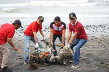 Gerakan Bersih Sampah Plastik, Moment Peringati Hari Raya Tumpek Uye di Kabupaten Tabanan Tumpek Uye