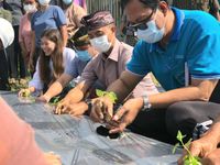 Badung Luncurkan Gerakan Tanam Cabai Badung
