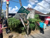 Rusak Wajah Kota, Kecamatan Denut Bersama Satpol PP Denpasar Tertibkan Spanduk Kadaluwarsa Denpasar