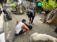 Cegah Penularan Rabies, Distan dan Kelurahan Padangsambian Vaksinasi 136 Ekor Anjing Denpasar