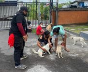 Cegah Penularan Rabies, Kelurahan Padangsambian Giatkan Vaksinasi di Dua Wilayah Vaksin Rabies