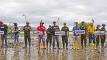 Pemkab Buleleng Lakukan Upaya Restorasi Hutan Mangrove di Pantai Desa Pemuteran Mangrove