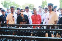 Gubernur Koster Buka PICA Fest Tahun 2022, Wujud Dukungan Ekonomi Kreatif dan Digital Anak Muda Bali PICA
