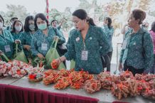 Seniasih Giri Prasta Hadiri Pasar Rakyat di Buleleng Ketua TP PKK Badung