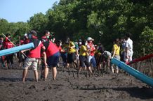 PPNI Kabupaten Badung Lakukan Penanaman Pohon Mangrove Badung