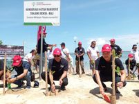 Dukung Program Rehabilitasi Hutan Mangrove, Yayasan AHM Tanam 8.000 Pohon di Pulau Dewata Mangrove
