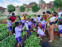 34 Orang Anak TK Swastika Belajar Edukasi Pertanian di PKT Ketahanan Pangan Nabati dan Hewani Desa Dauh Puri Kaja Denpasar