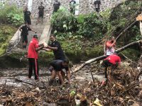 KPS Kota Denpasar Gandeng Tim ‘Gila Selingkuh’ Tangani Pohon Tumbang di Sungai Ayung Kesiman Denpasar