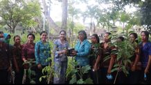 Candrawati Tamba Serahkan Bantuan Bibit Tanaman Untuk Dukung Ketahanan Pangan Candrawati Tamba