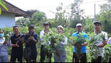 Tinjau Program Hatinya PKK, Candrawati Tamba Panen Sayuran Family Farming di Desa Baluk Tinjau Program Hatinya PKK