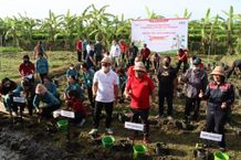 Tekan Inflasi, Wali Kota Jaya Negara Tanam Cabai Bantuan BI di Subak Lungatad Tekan Inflasi