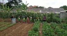 PAUD Gembira Loka Wisata Edukasi di PKT Ketahanan Pangan Nabati dan Hewani Dauh Puri Kaja PAUD Gembira Loka Wisata