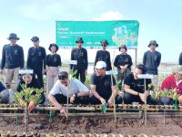 Wawali Arya Wibawa Bersama Menteri Sandiaga Uno Laksanakan Penanaman Mangrove di Kawasan Pelabuhan Benoa penanaman mangrove
