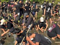 Peringati BKFT 57, FT Unud Tanam Bakau ft unud