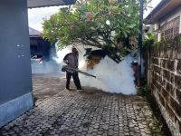 Antisipasi Kasus Demam Berdarah, Puskesmas 3 Denpasar Selatan Lakukan PSN, Larvasida dan Foging Denpasar