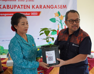 Bank Indonesia Provinsi Bali Beri Bantuan Bibit Cabai Kepada PKK Setiap Kabupaten di Bali Bantuan Bibit Cabai