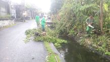 Antisipasi Banjir, Desa Sanur Kauh Lakukan Pembersihan Sungai Denpasar